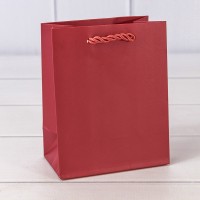 Пакет подарочный "Фактура-890" Красный 12*15*7 210г 1/20 1/480 Арт: 000890H/8