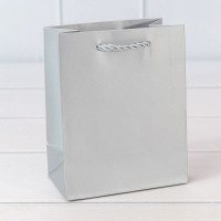 Пакет подарочный "Фактура-890" Серебряный 12*15*7 210г 1/20 1/480 Арт: 000890H/6