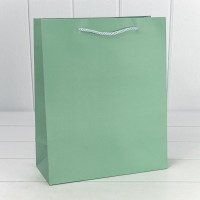 Пакет подарочный "Фактура-890" Бледно-зелёный 26*32*12 210г 1/20 1/240 Арт: 000890C/5