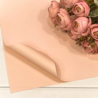 Плёнка в листах 60*60 (20 шт.) матовая "Корейская" 55мкм Абрикосовый-4031 1/60 Арт: 1698/4031