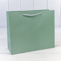 Пакет подарочный "Фактура-890" Бледно-зелёный 31*26*12 210г 1/20 1/240 Арт: 000890CA/5