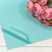 Плёнка в листах 60*60 (20 шт.) матовая "Корейская" 55мкм Голубой 1/60 Арт: 1698/636