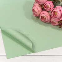 Плёнка в листах 60*60 (20 шт.) матовая "Корейская" 55мкм Бледно-зелёный-559 1/60 Арт: 1698/559