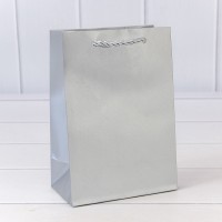 Пакет подарочный "Фактура-890" Серебряный 14*20*8 210г 1/20 1/480 Арт: 000890G/6