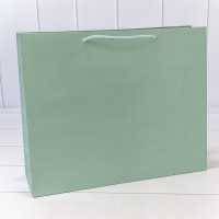 Пакет подарочный "Фактура-890" Бледно-зелёный 39,5*32*12 210г 1/20 1/80 Арт: 000890AA/5