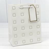 Пакет подарочный с тиснением "Квадратики" (микс) 18*23*10 210г 1/20 1/360 Арт: 000881E - Пакет подарочный с тиснением "Квадратики" (микс) 18*23*10 210г 1/20 1/360 Арт: 000881E