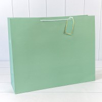 Пакет подарочный "Фактура-890" Бледно-зелёный 50*40*15 210г 1/20 1/80 Арт: 000890TA/5